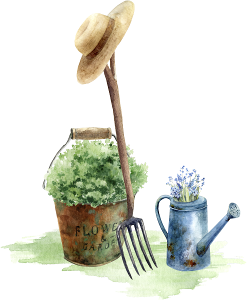 Garden inspiration
