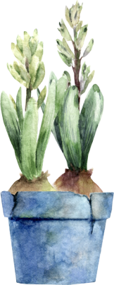 Seasonal garden inspiration