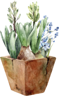 Seasonal garden inspiration