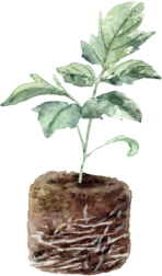 Garden tasks inspiration