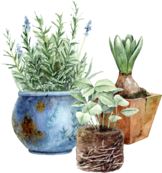 Garden tasks inspiration