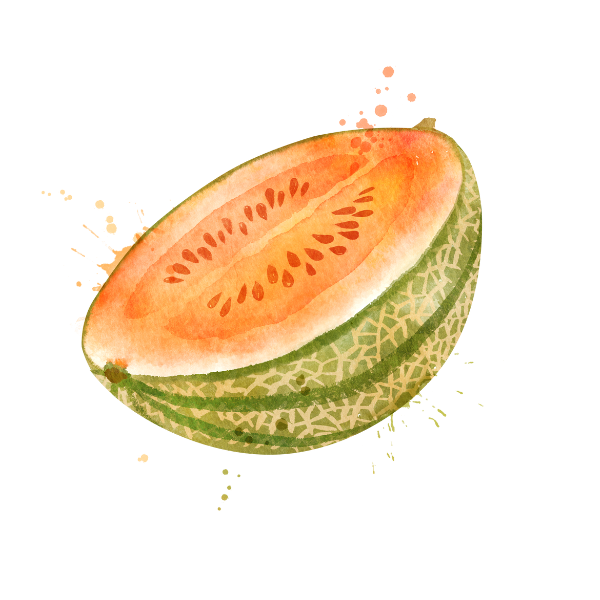 Melon