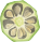 Okra