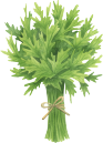 Parsley